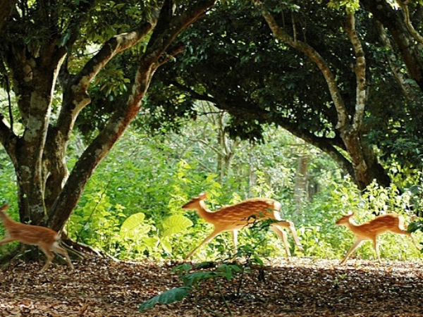 VIAJE DE NOVIOS EN VIETNAM DE 15 DÍAS